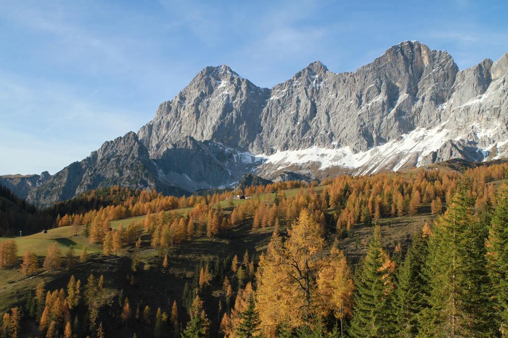 Luxus-Appartements Fosensteiner Ramsau am Dachstein Exteriör bild