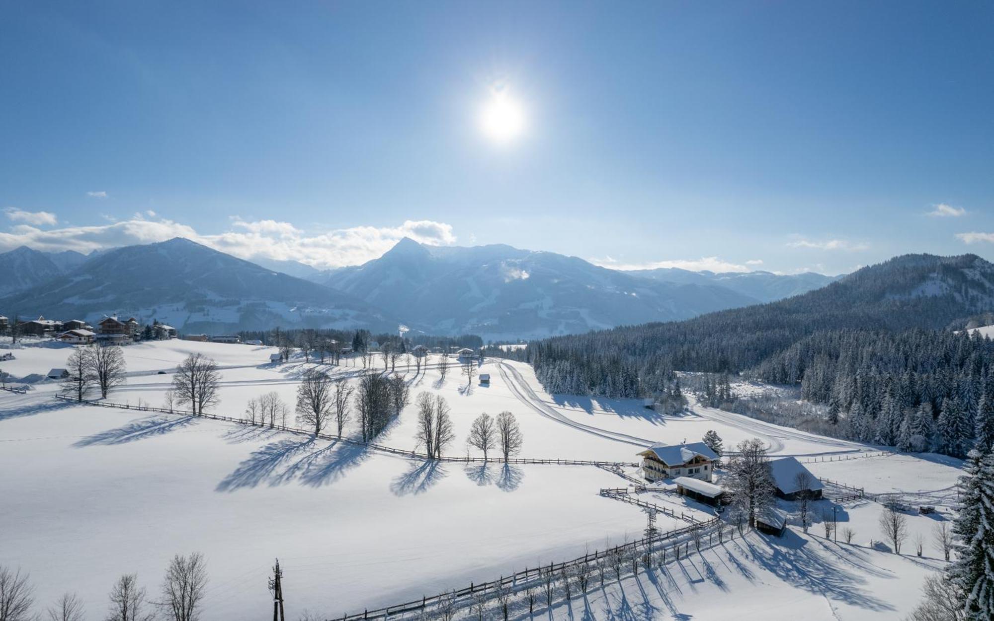 Luxus-Appartements Fosensteiner Ramsau am Dachstein Exteriör bild