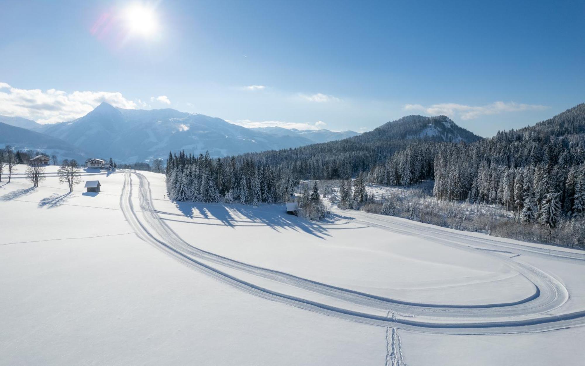 Luxus-Appartements Fosensteiner Ramsau am Dachstein Exteriör bild