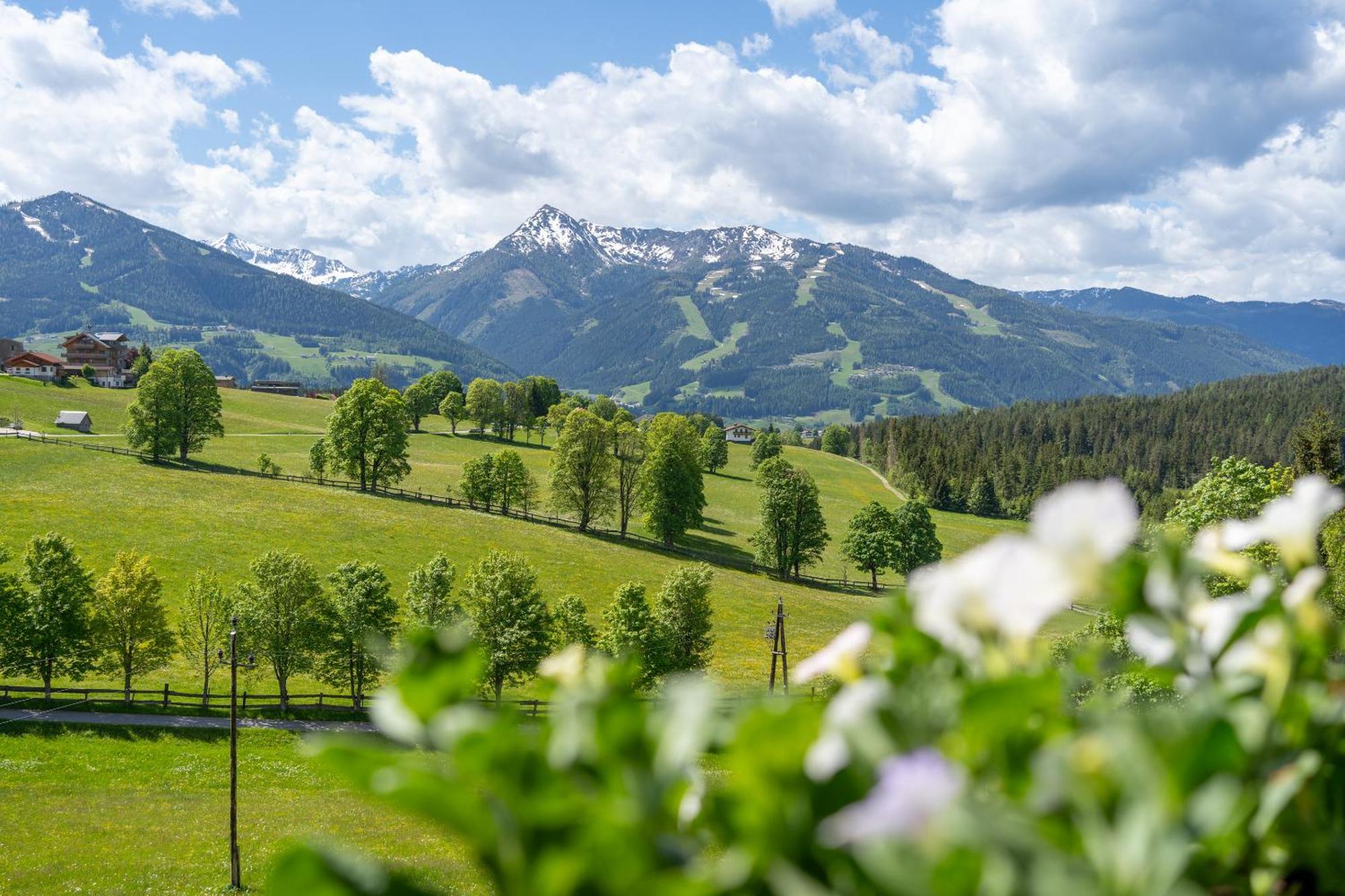 Luxus-Appartements Fosensteiner Ramsau am Dachstein Exteriör bild