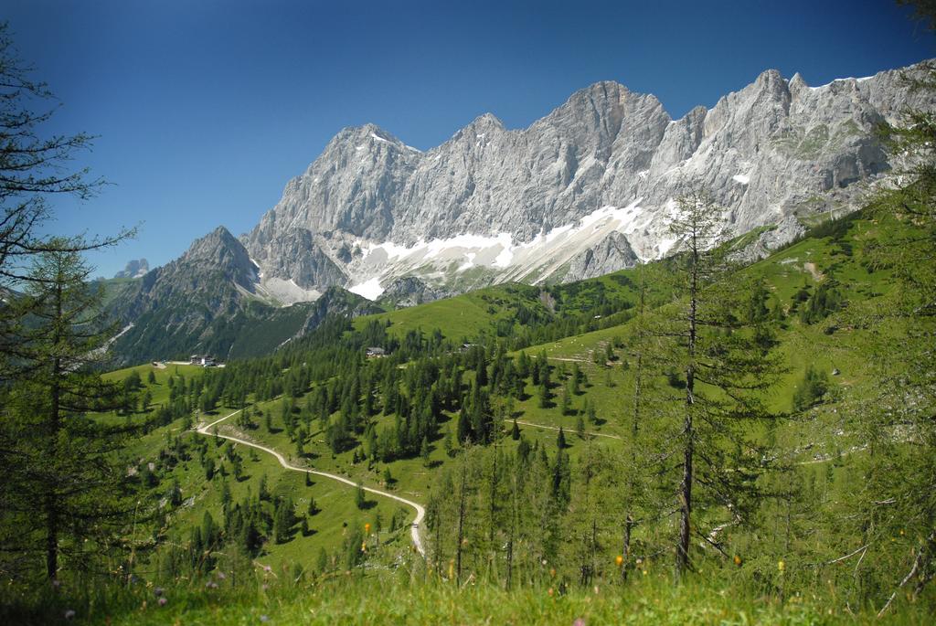 Luxus-Appartements Fosensteiner Ramsau am Dachstein Exteriör bild